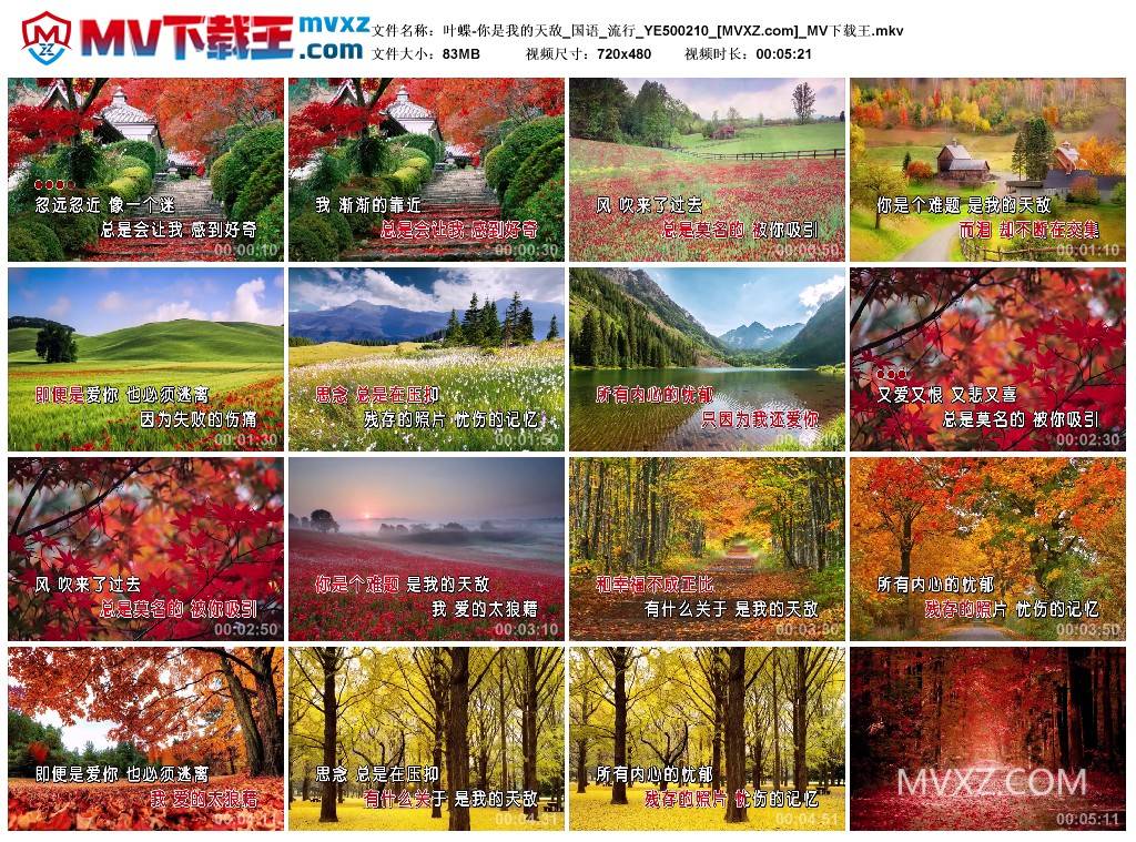 叶蝶-你是我的天敌_国语_流行_YE500210